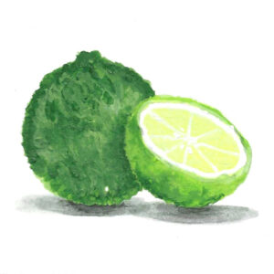 BERGAMOT