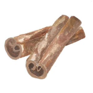 CINNAMON