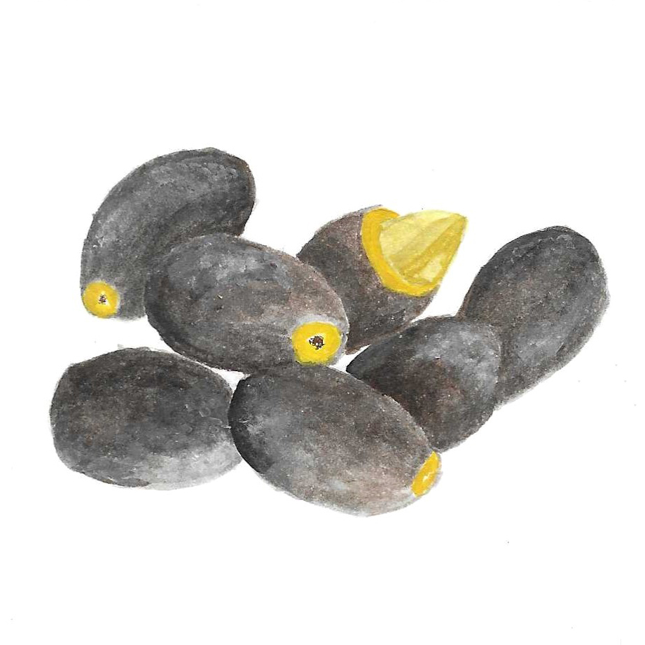 ELEMI