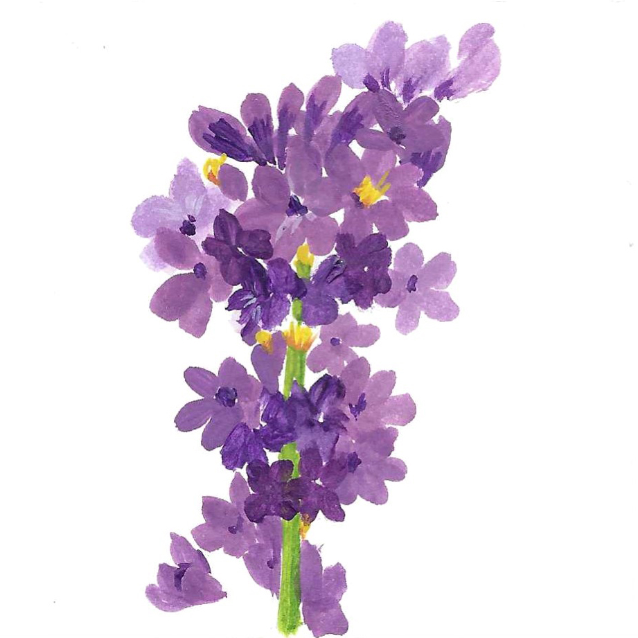 LAVENDER REAL