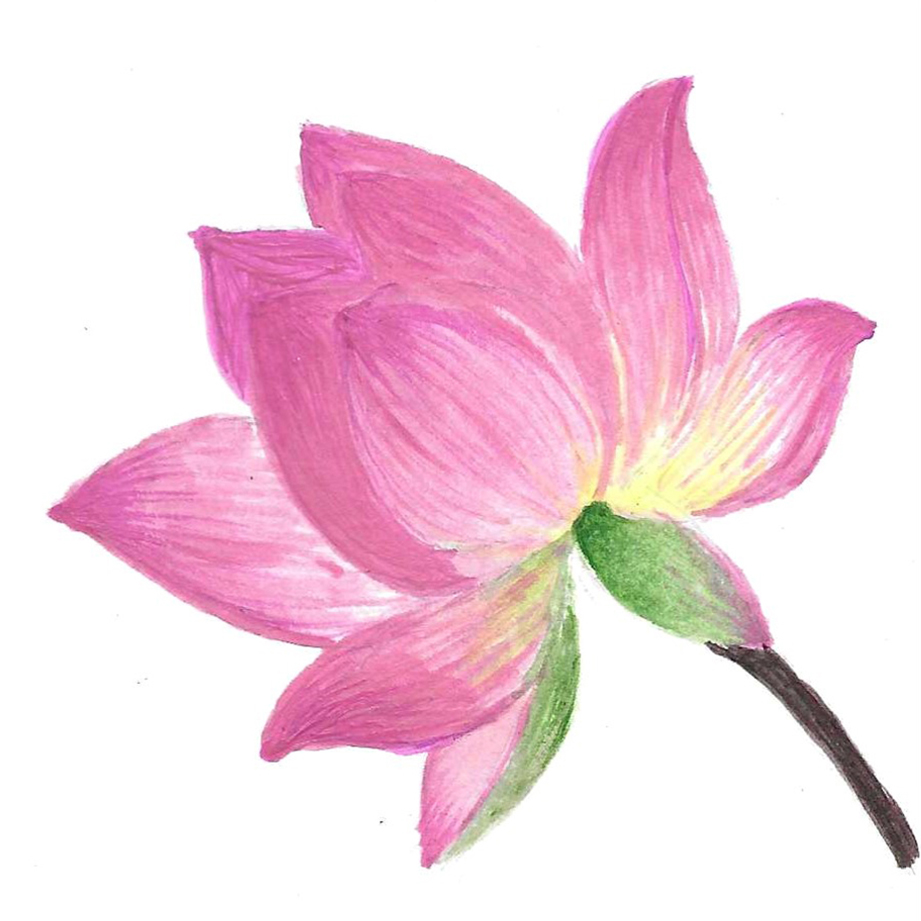 LOTUS