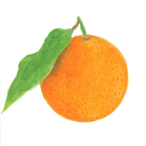 MANDARINE