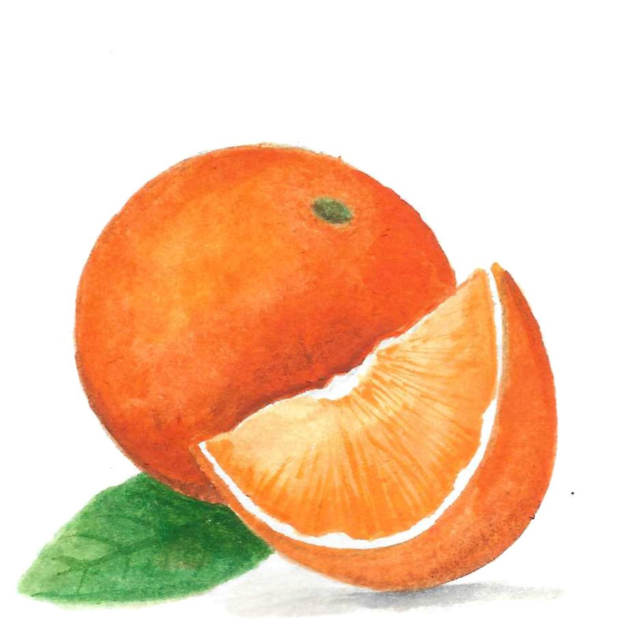 ORANGE ORGANIC
