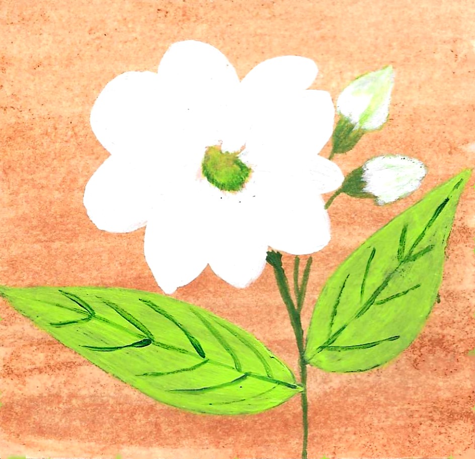 JASMIN SAMBAC