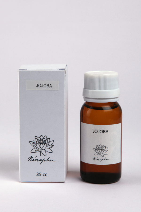 JOJOBA