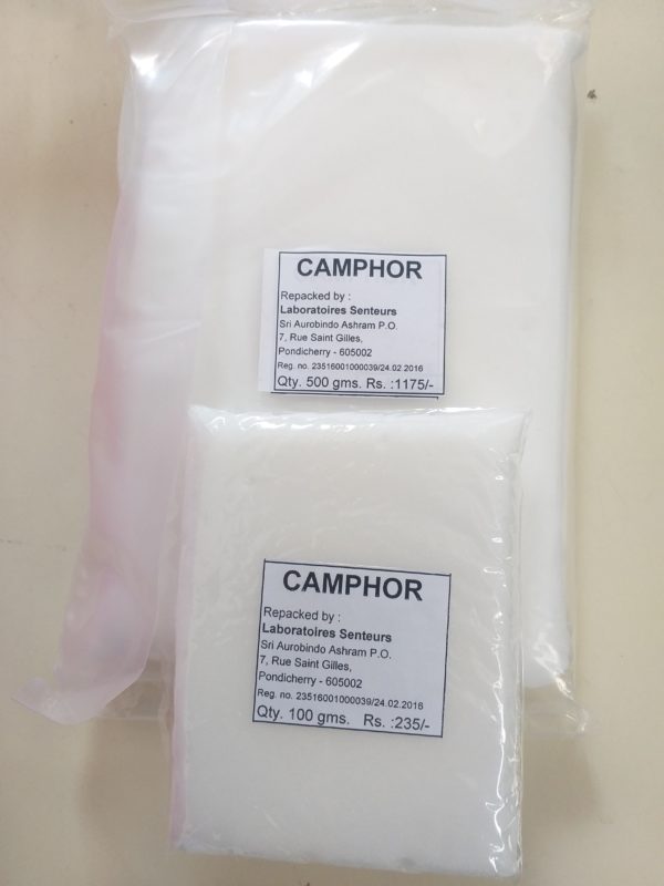 CAMPHOR