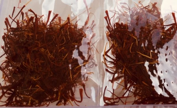 KASHMIRI SAFFRON