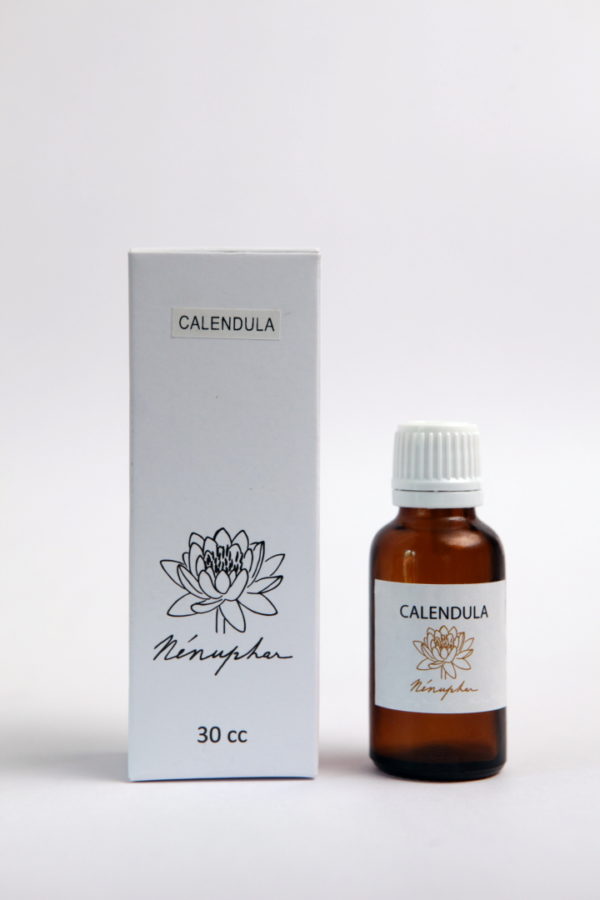 CALENDULA