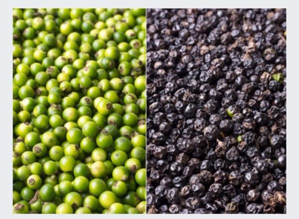 BLACK PEPPER